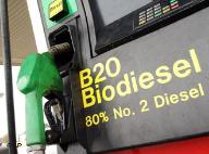 Los biocombustibles no son la respuesta